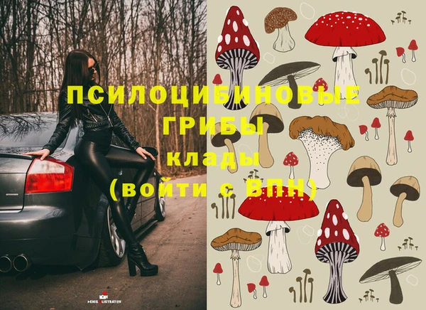 Альфа ПВП Саяногорск