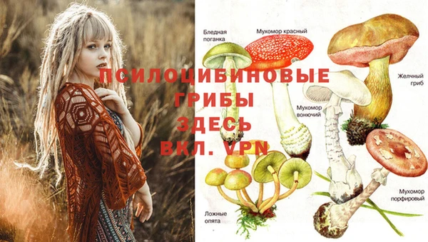 бутират Армянск