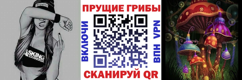 Псилоцибиновые грибы MAGIC MUSHROOMS Кизел